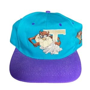 Vintage 90s Taz Looney Tunes 1993 Purple Teal Snapback Hat preowned